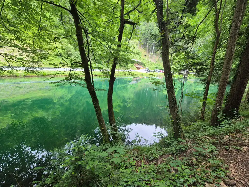 Bild 5 von Schwarzer See Stüble