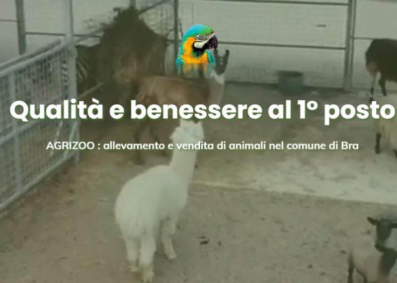 Images Agrizoo