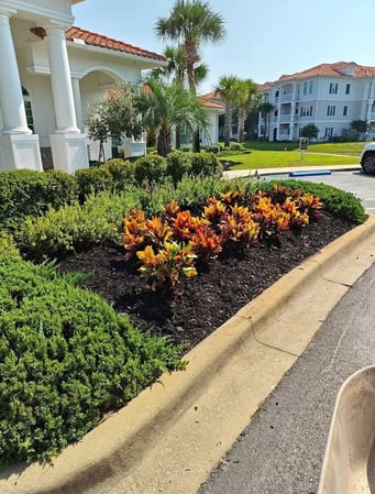 Images Lawnmasters of Panama City