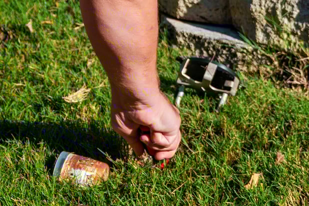 Images Pest Magic, LLC