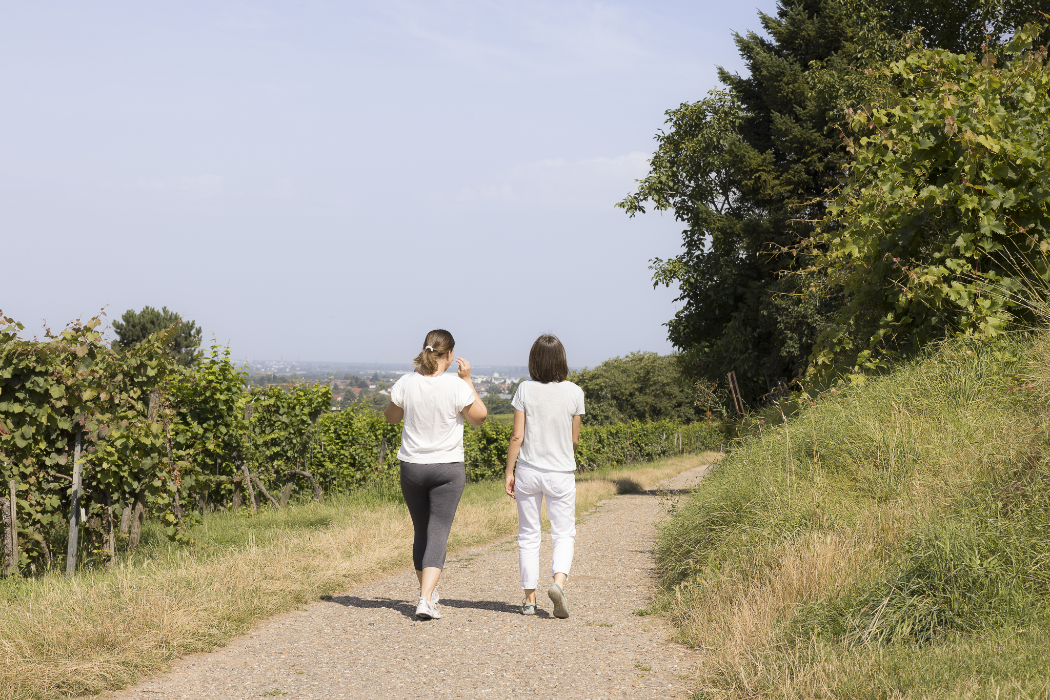 Julie Shimizu, Korngasse 20 in Dossenheim