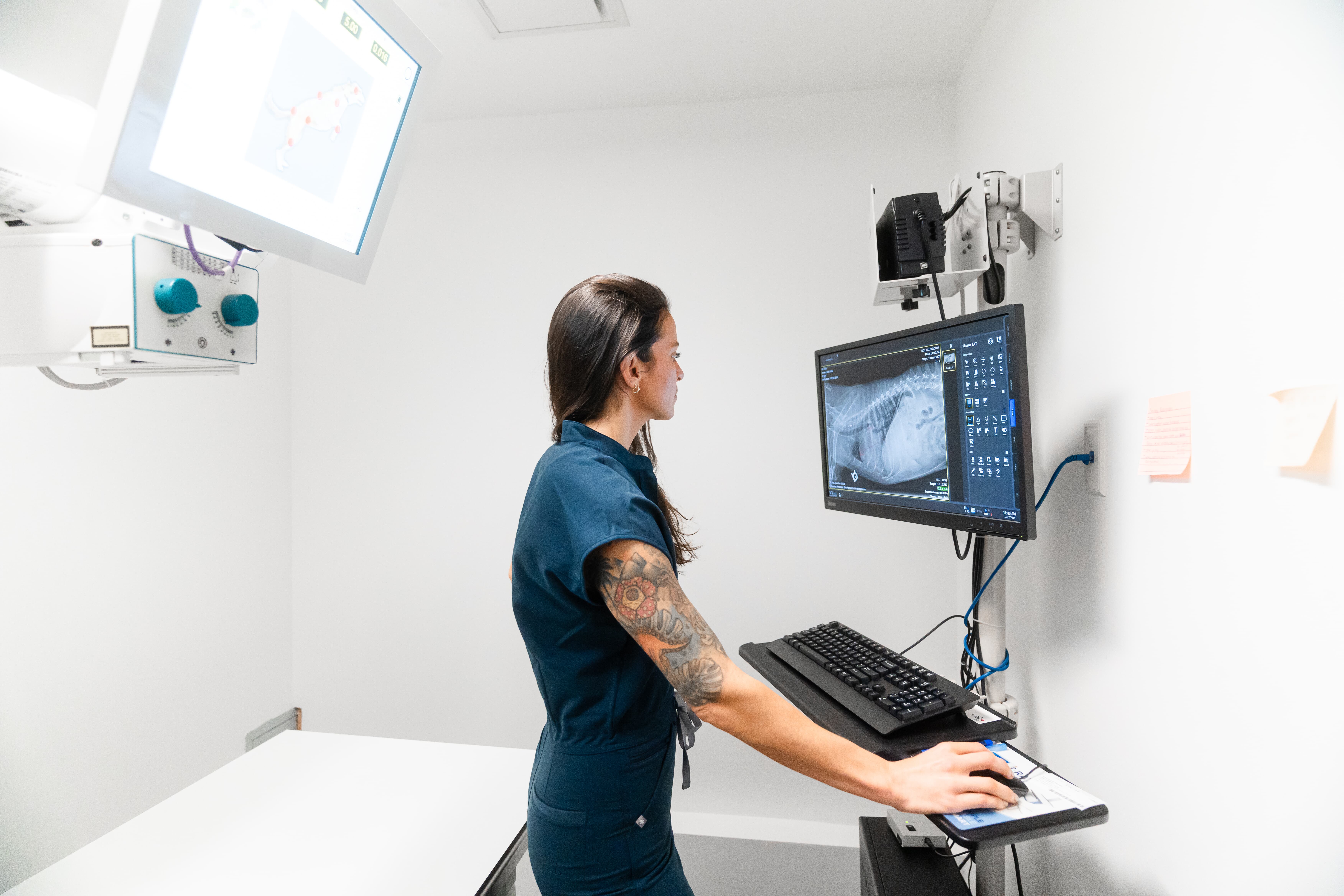 Images Clinique Vétérinaire Quartier Dix30