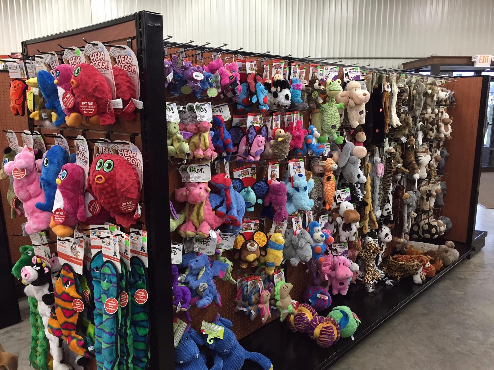 the pet authority in albert lea mn 56007 the pet authority in albert lea mn 56007