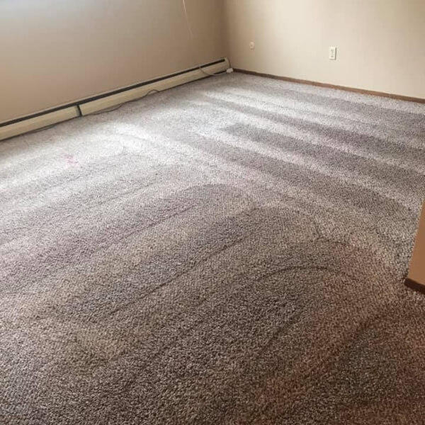 cleaning carpets at home