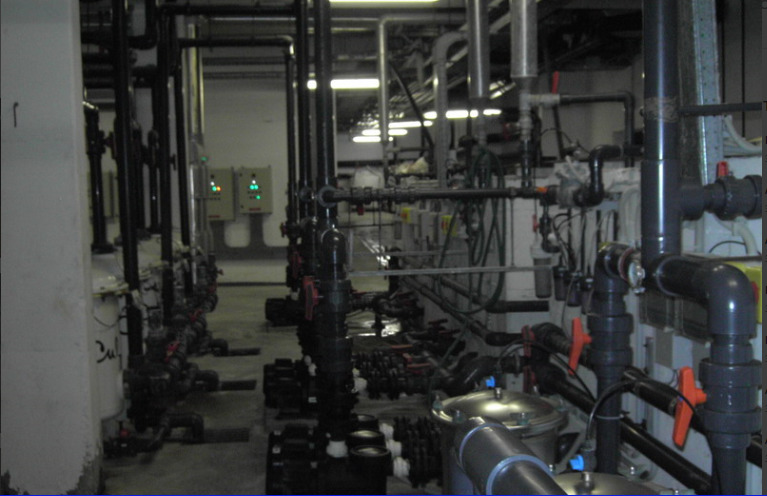 Images CM1 di Cacciatore Michele