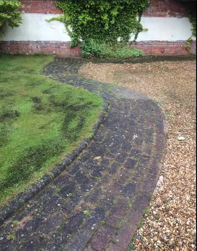 Images Jetmaster Clean