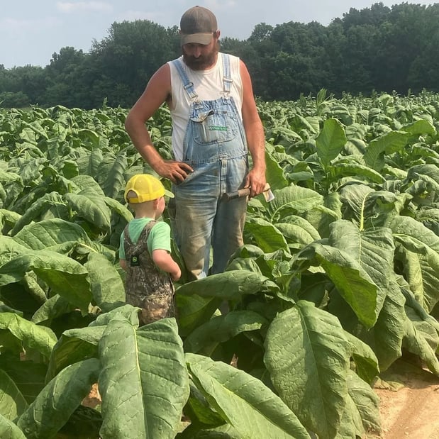 Images Emily's Livestock family raised beef, pork, lamb and tallow skin care
