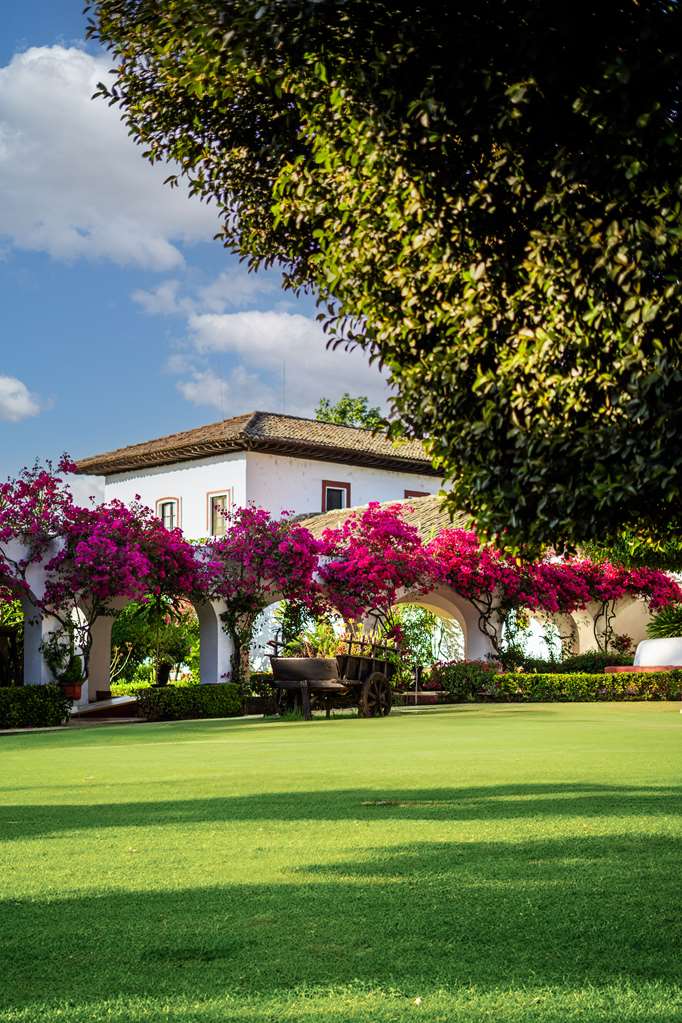 Images Best Western Plus Posada de Don Vasco