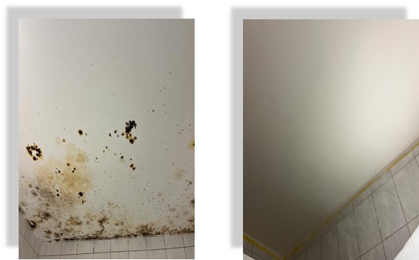Bilder JLM peinture papiers peints nettoyages Sàrl