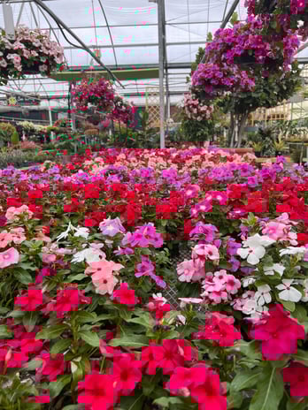 Images Grant Line Garden Center & Nursery