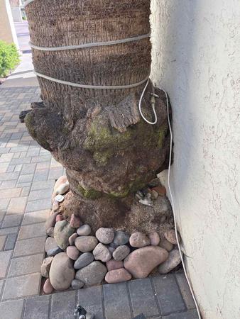 Images AZ Home Inspection Services