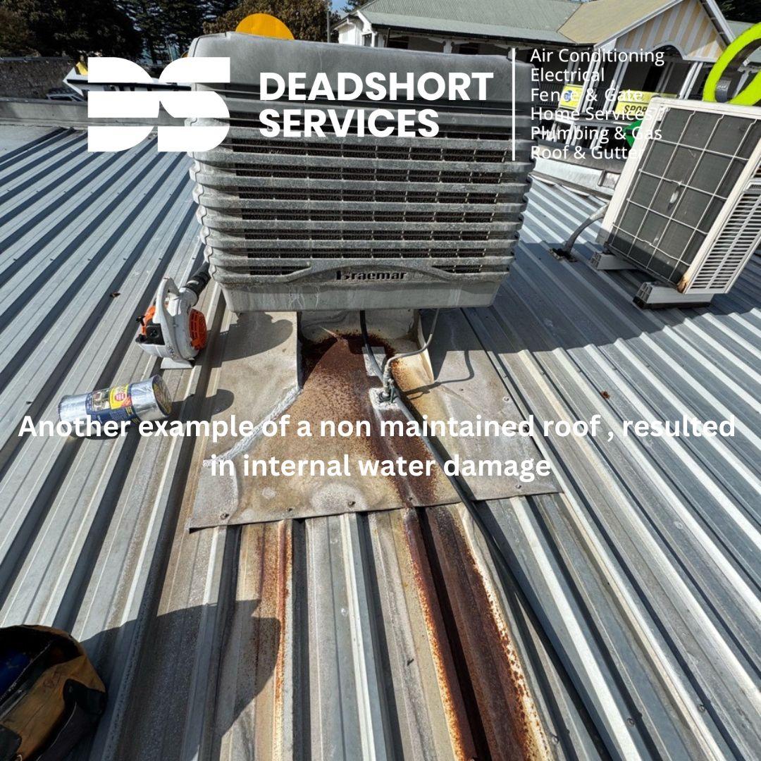 Images Deadshort Services