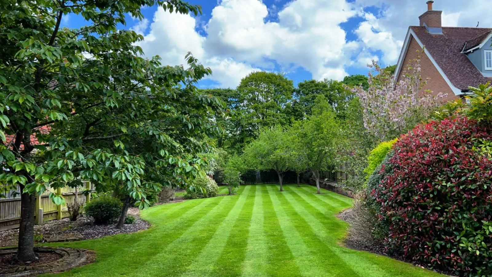 Images S P Landscapes & Tree Contractors