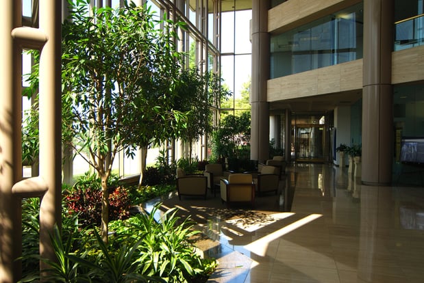 Images Mister Green Jeans Interior Office Plantings