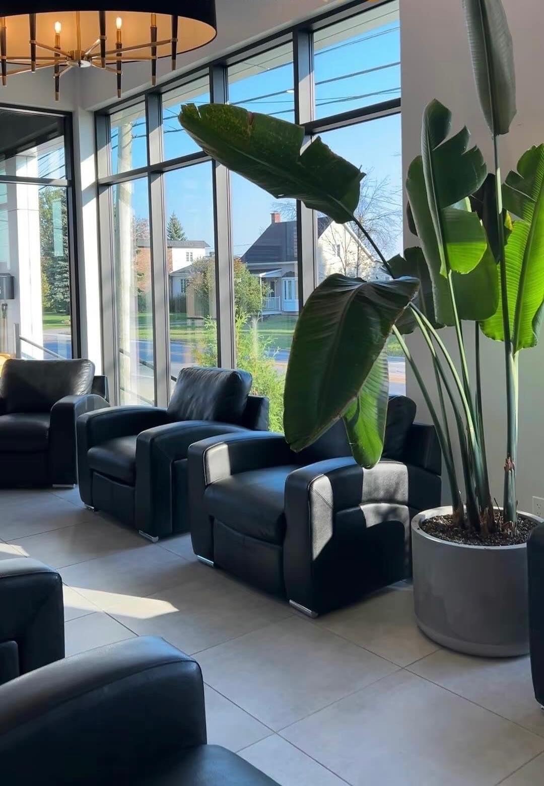 Images Centres Dentaires VIVA - Beauharnois
