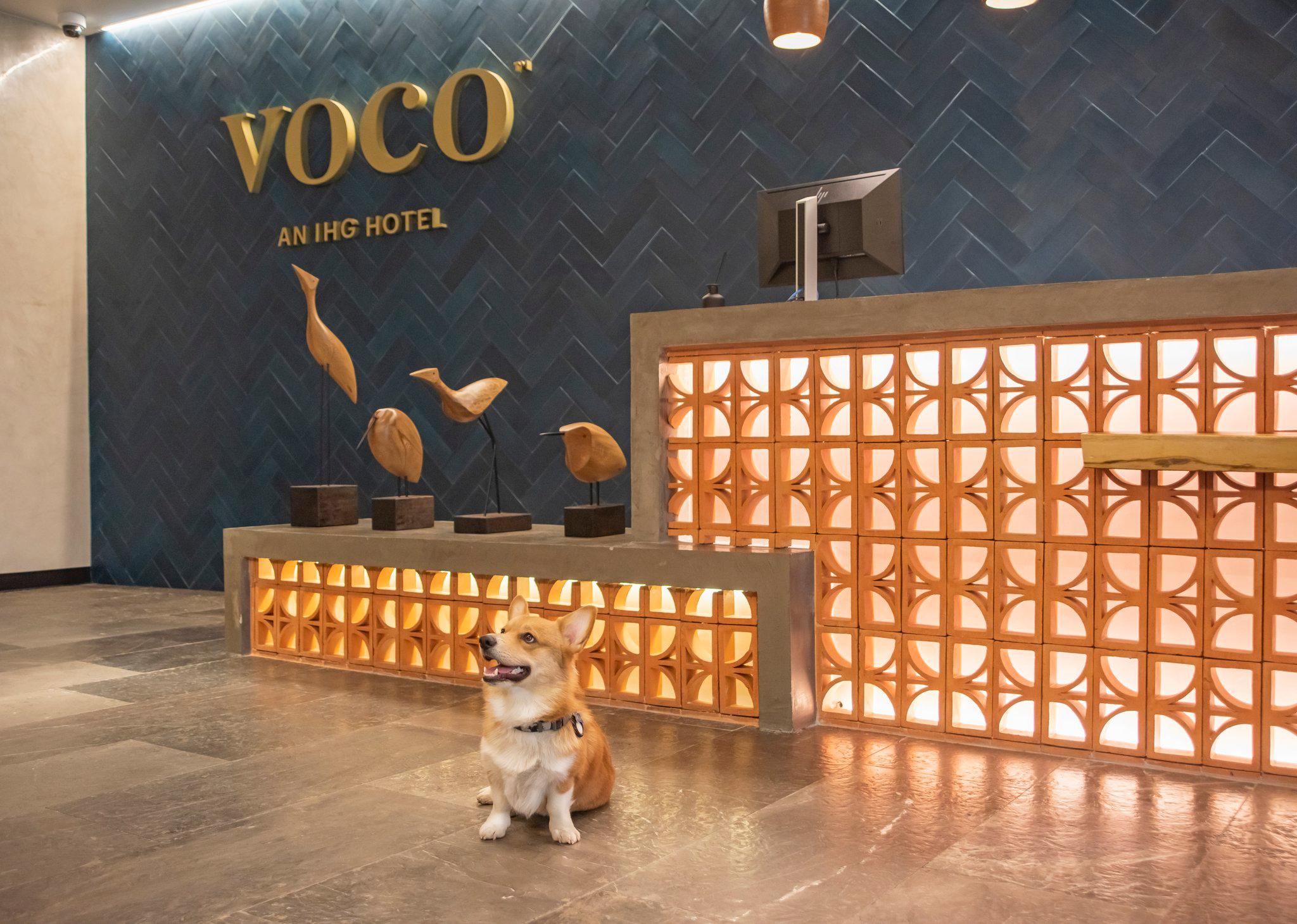Images voco Guadalajara Neruda, an IHG Hotel