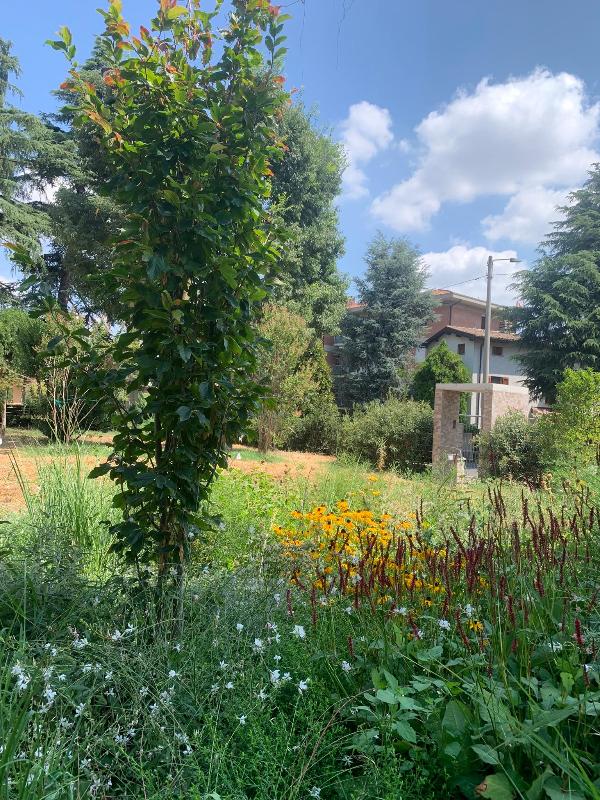 Images Gardening 9010
