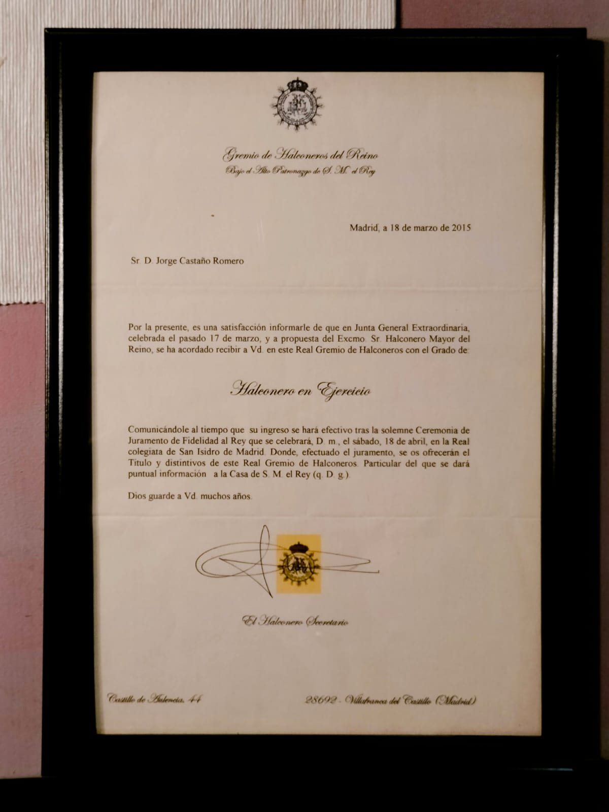 Images Bird Control Falcon S.L.