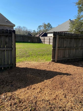 Images Tree Tech of Louisiana