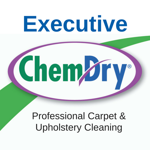 Executive Chem-Dry Logo