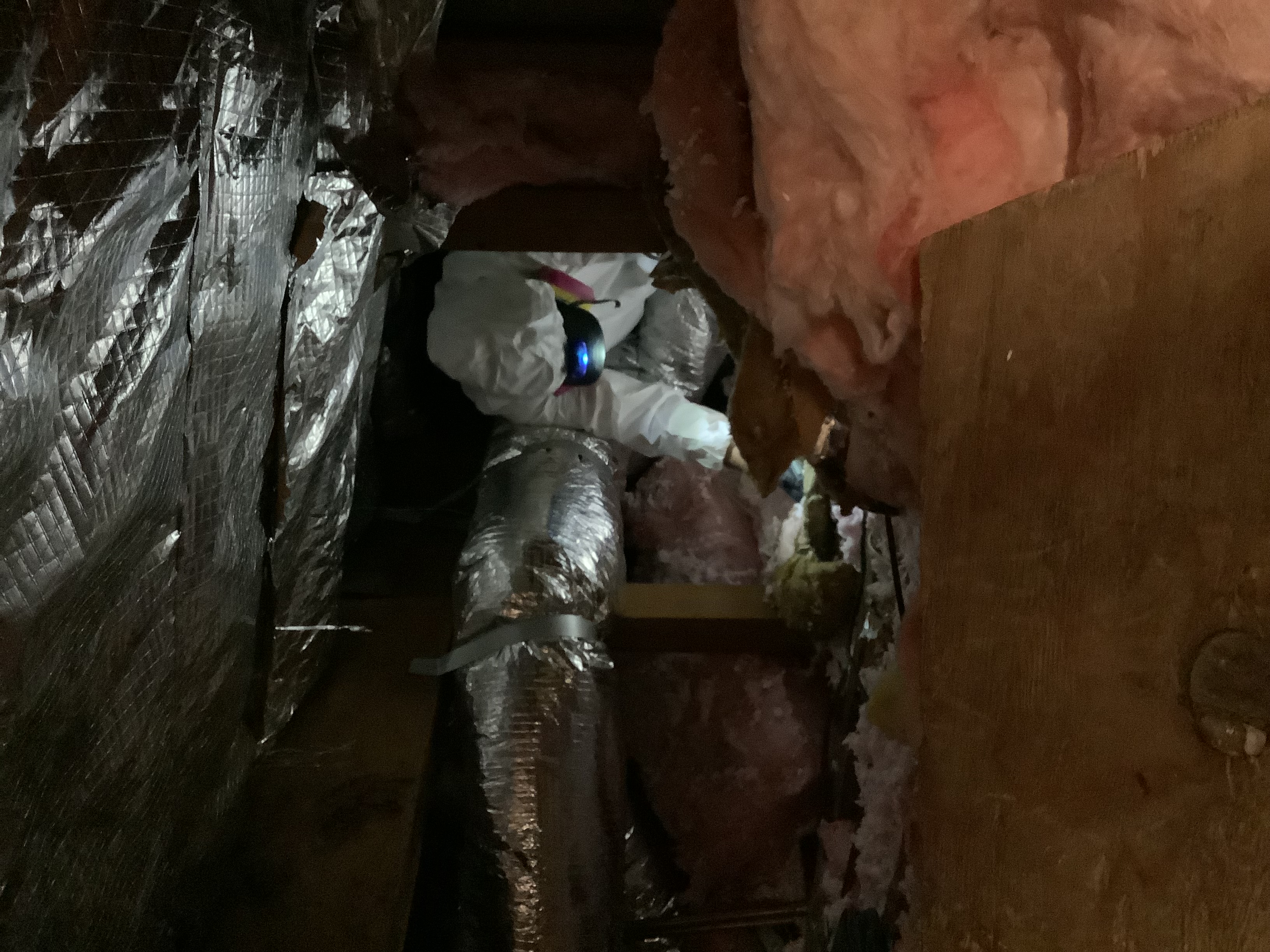 SERVPRO Crew inspecting an attic