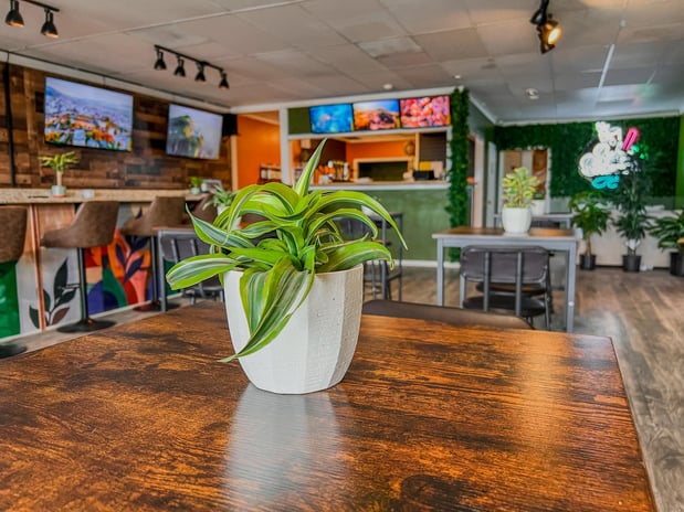 Images Boba Botanica Cafe