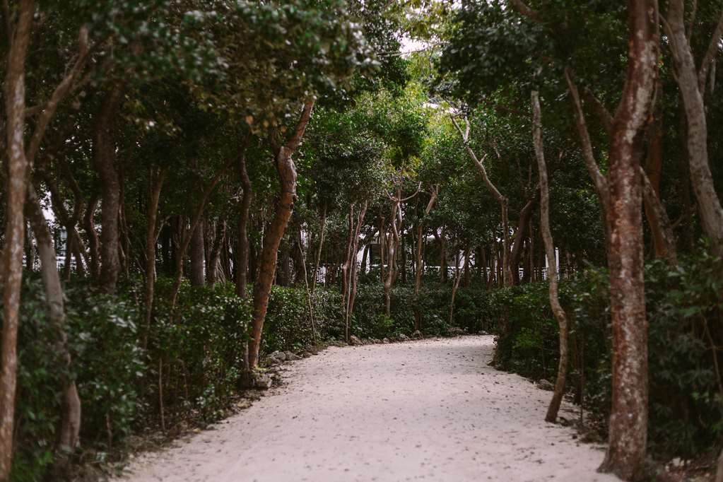 Baker's Cay Resort Key Largo, Curio Collection by Hilton