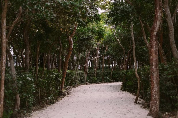 Images Baker's Cay Resort Key Largo, Curio Collection by Hilton