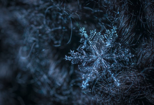 Images Franklin Freeze