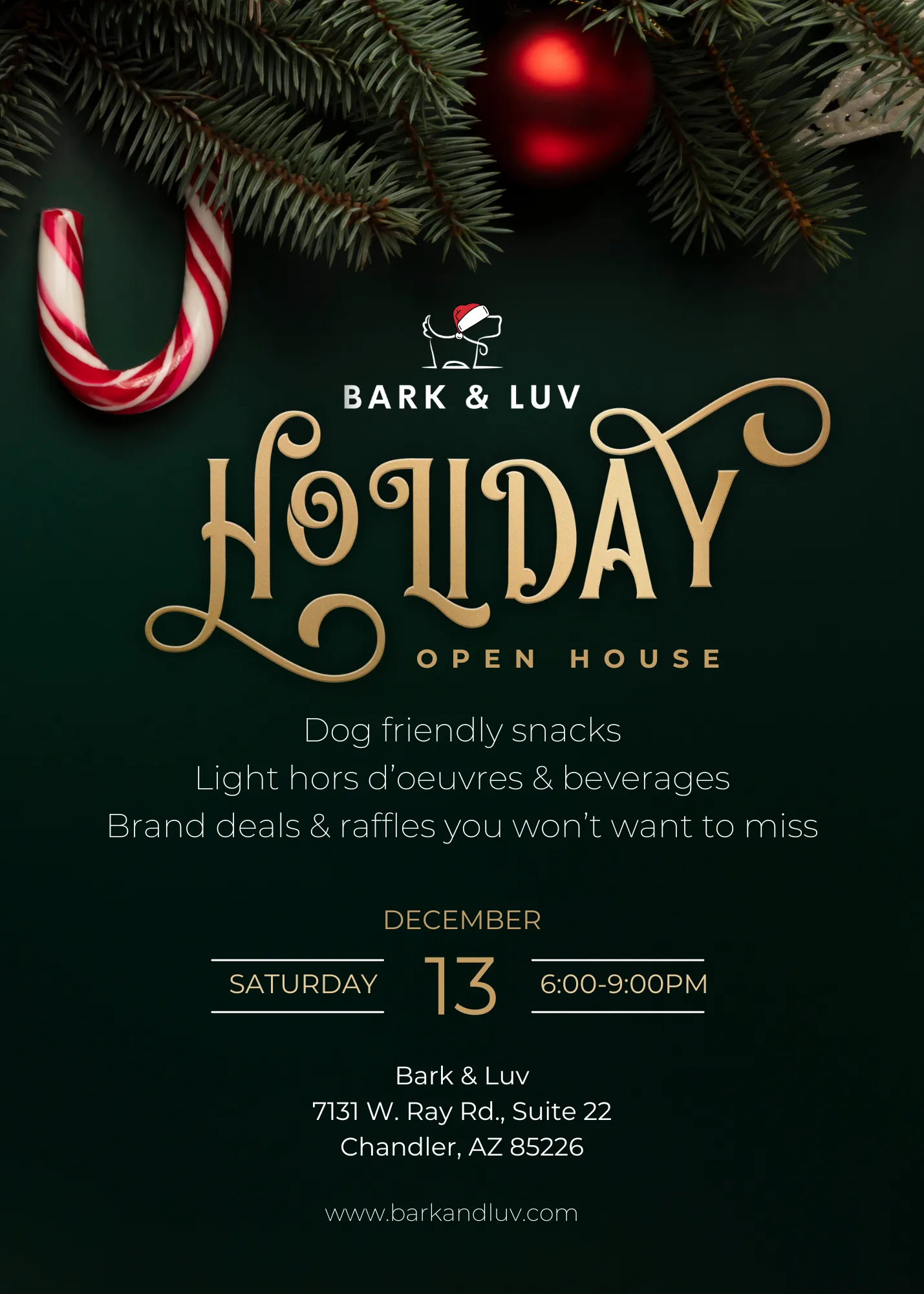Image of Local Pet Event Holiday Open House Nearby