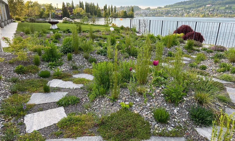 Bilder Bernet Gartenbau AG