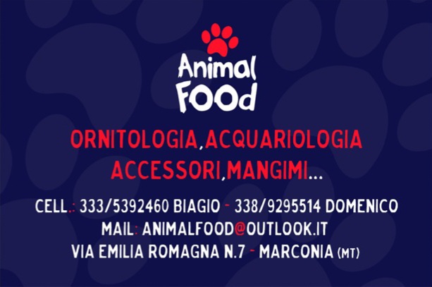 Images Animal Food