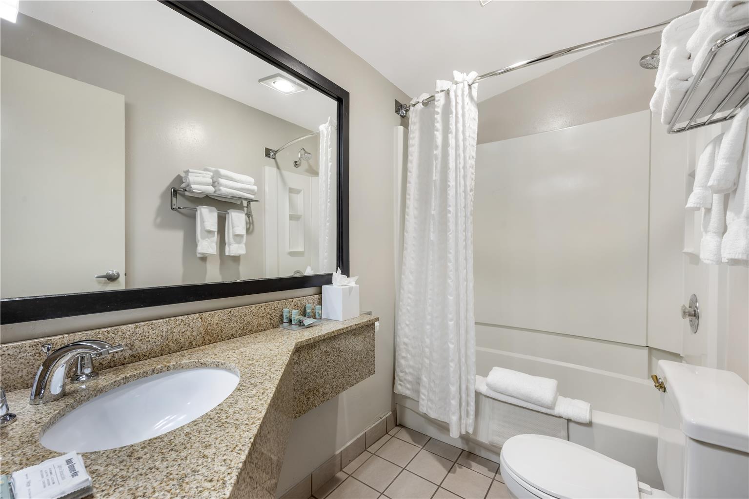 Family Suite - Bathroom