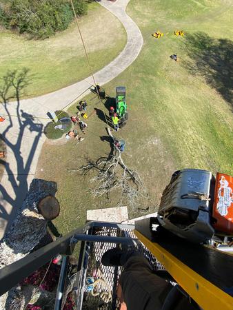 Images Backridge Tree Service