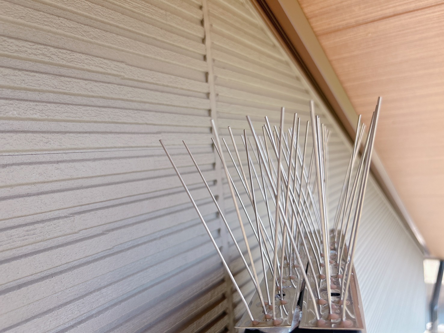 Images 富山安心駆除サービス