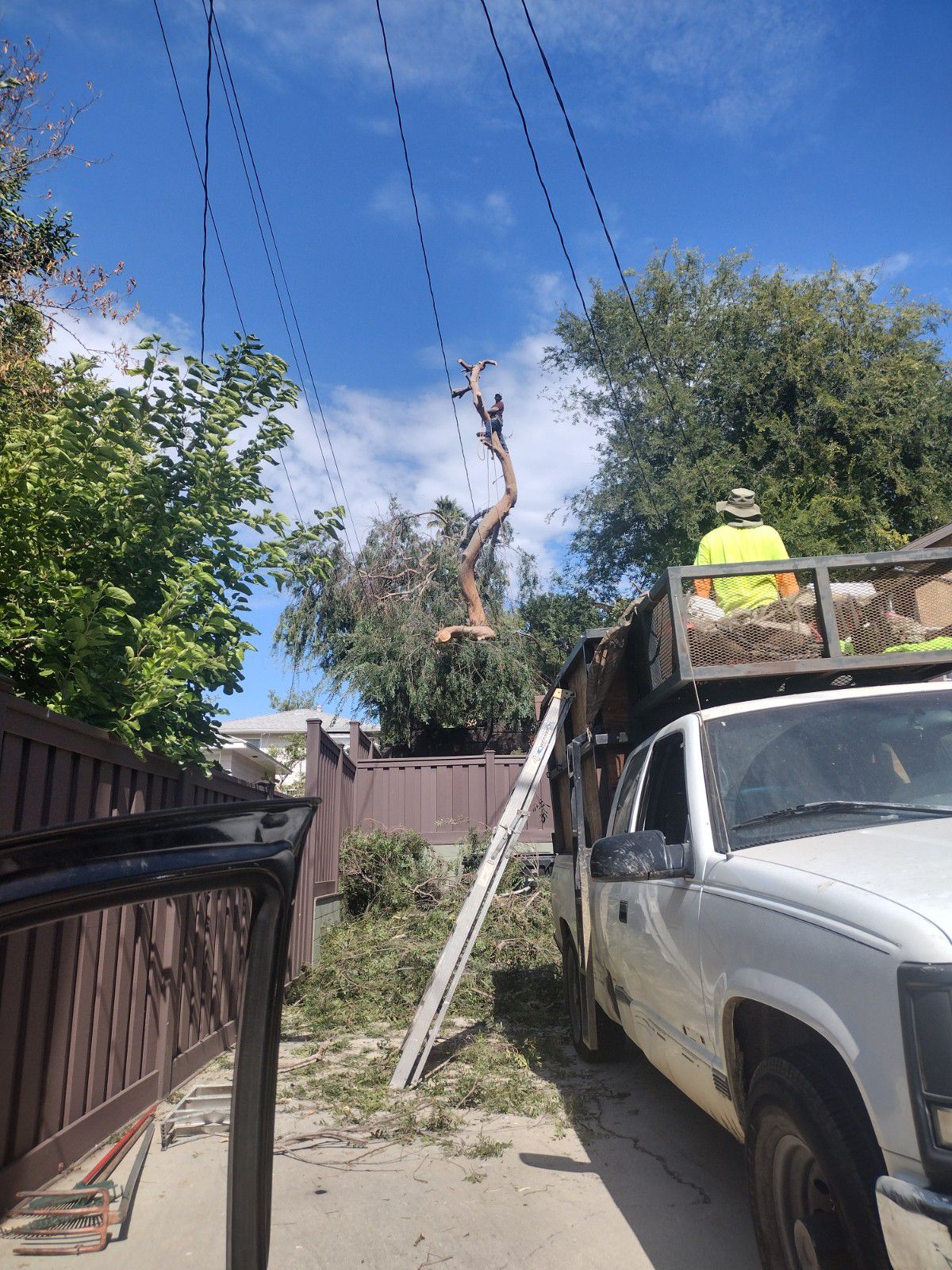 Nelson Pineda Landscaping - tree removal services