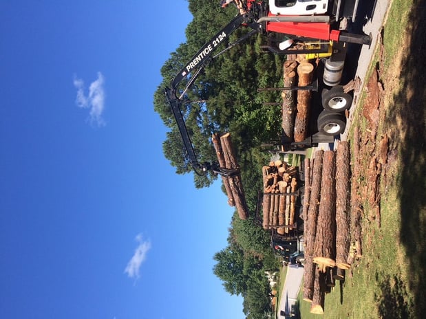 Images TreeDog Atlanta Services LLC