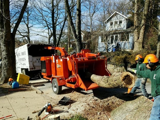 Images Keil Tree Experts Inc