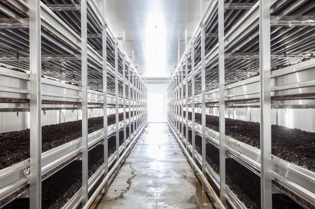 Images Societa' Agricola Porretta - Le Ghiottone