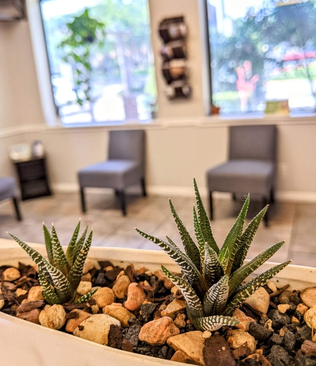 Images VCA Northwest Hills Animal Hospital