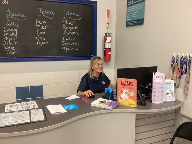 Images Petco Grooming