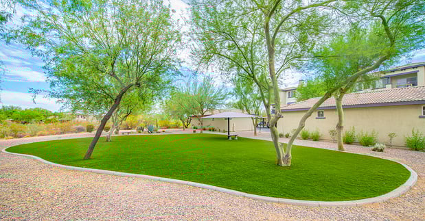 Images MAA Foothills