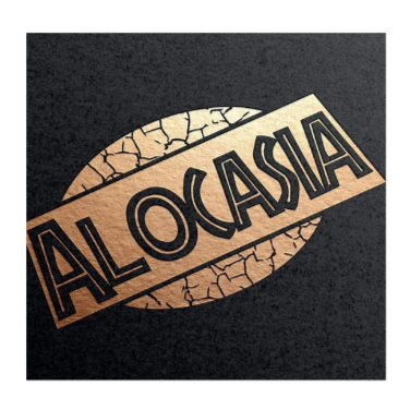 Alocasia Inc.