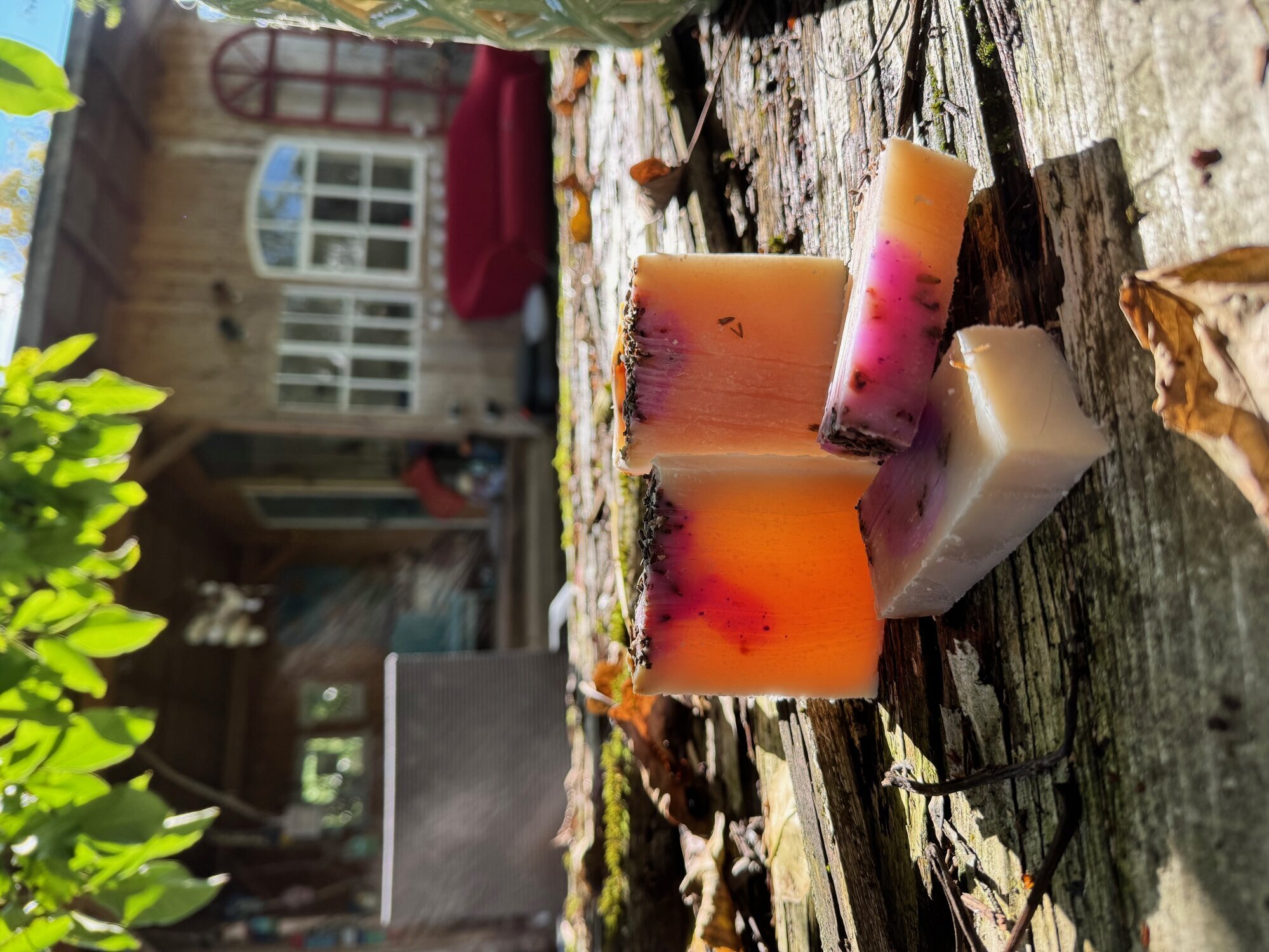 Bilder löwenstier Haarentfernung mit Sugaring & Seifen Manufaktur