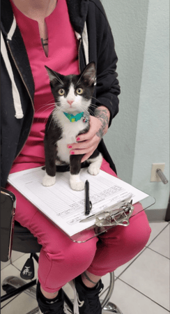 Images VCA Preston Park Animal Hospital