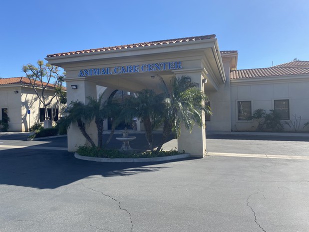Images VCA Santa Margarita Animal Hospital