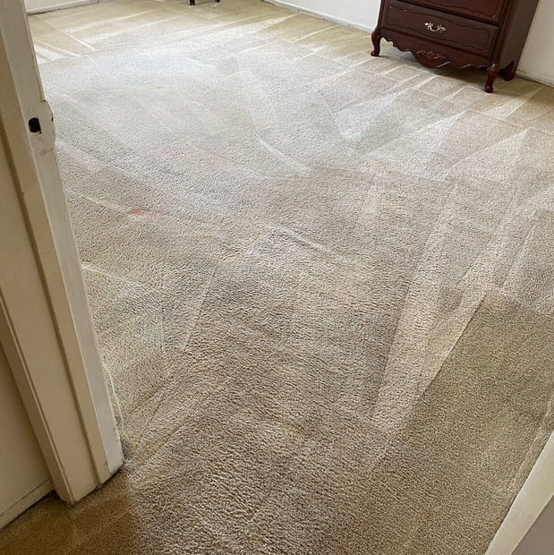 Images My Superior Carpet Cleaning