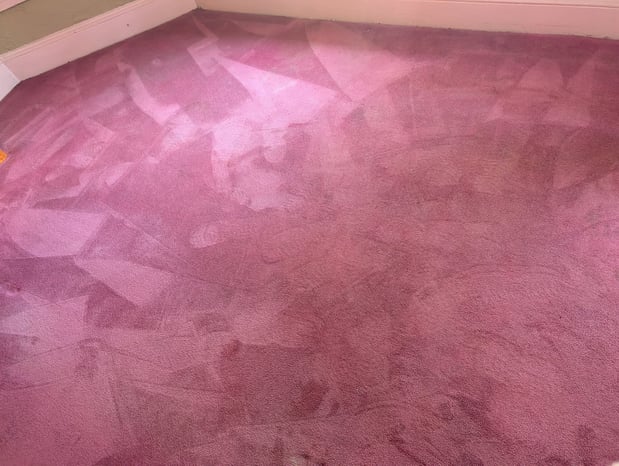 Images NEPA Carpet Care LLC