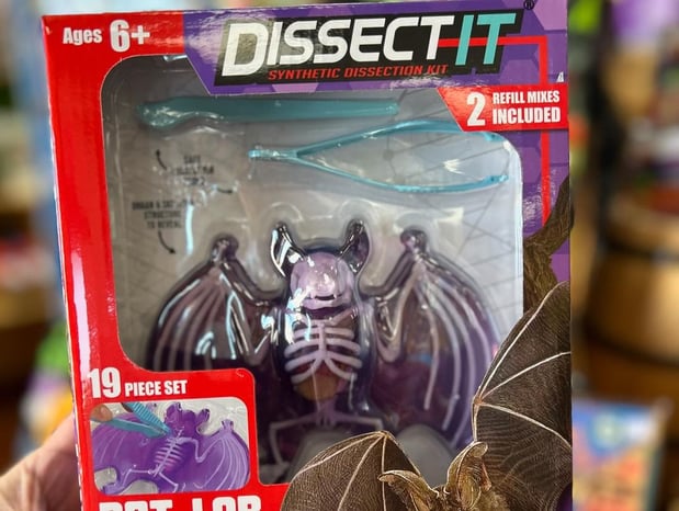 Images The Wonder Emporium