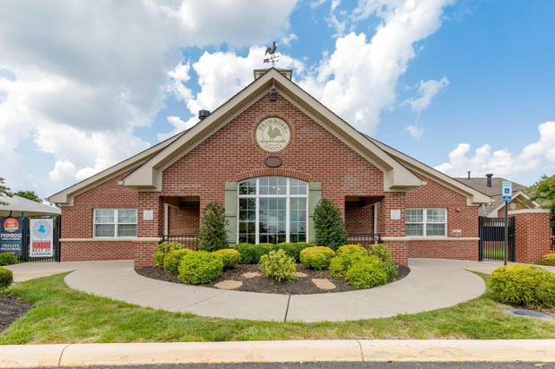 Images Primrose School of Ashburn